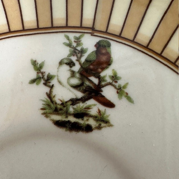 Burton & Burton Birds of Beauty Porcelain Tea Cup & Saucer Bird Center, Geo Rim - Picture 8 of 16